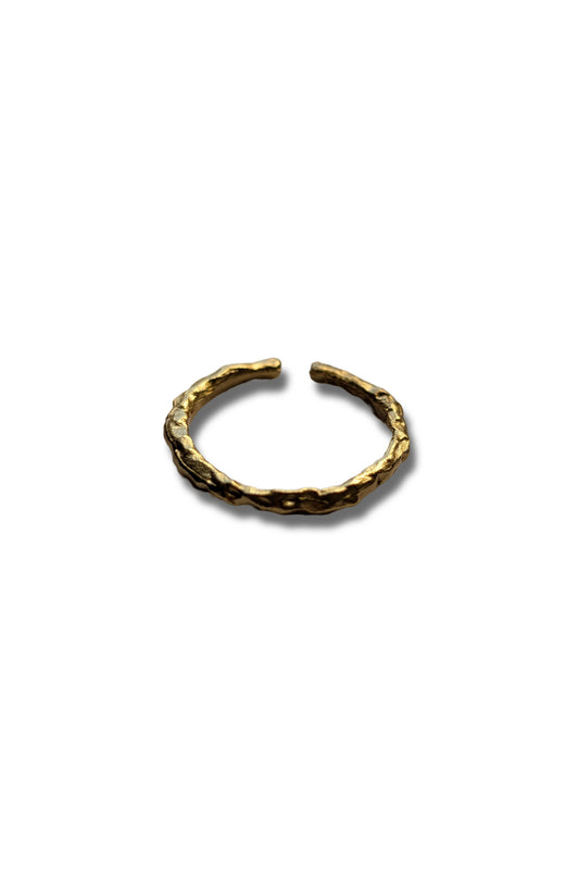 Born of Fire Ring